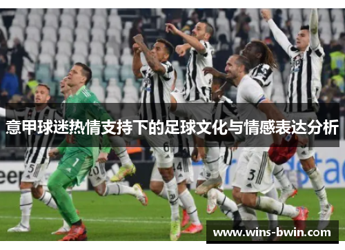 意甲球迷热情支持下的足球文化与情感表达分析