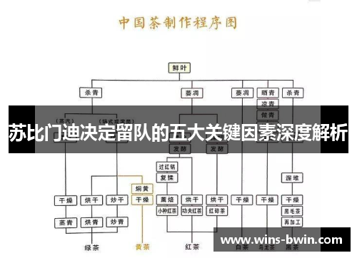 苏比门迪决定留队的五大关键因素深度解析